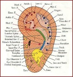 Auricolo Terapia Rovereto