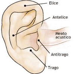 Auricolo Terapia Rovereto